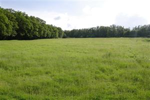 Celkový pohľad na lokalitu od krosovej dráhy